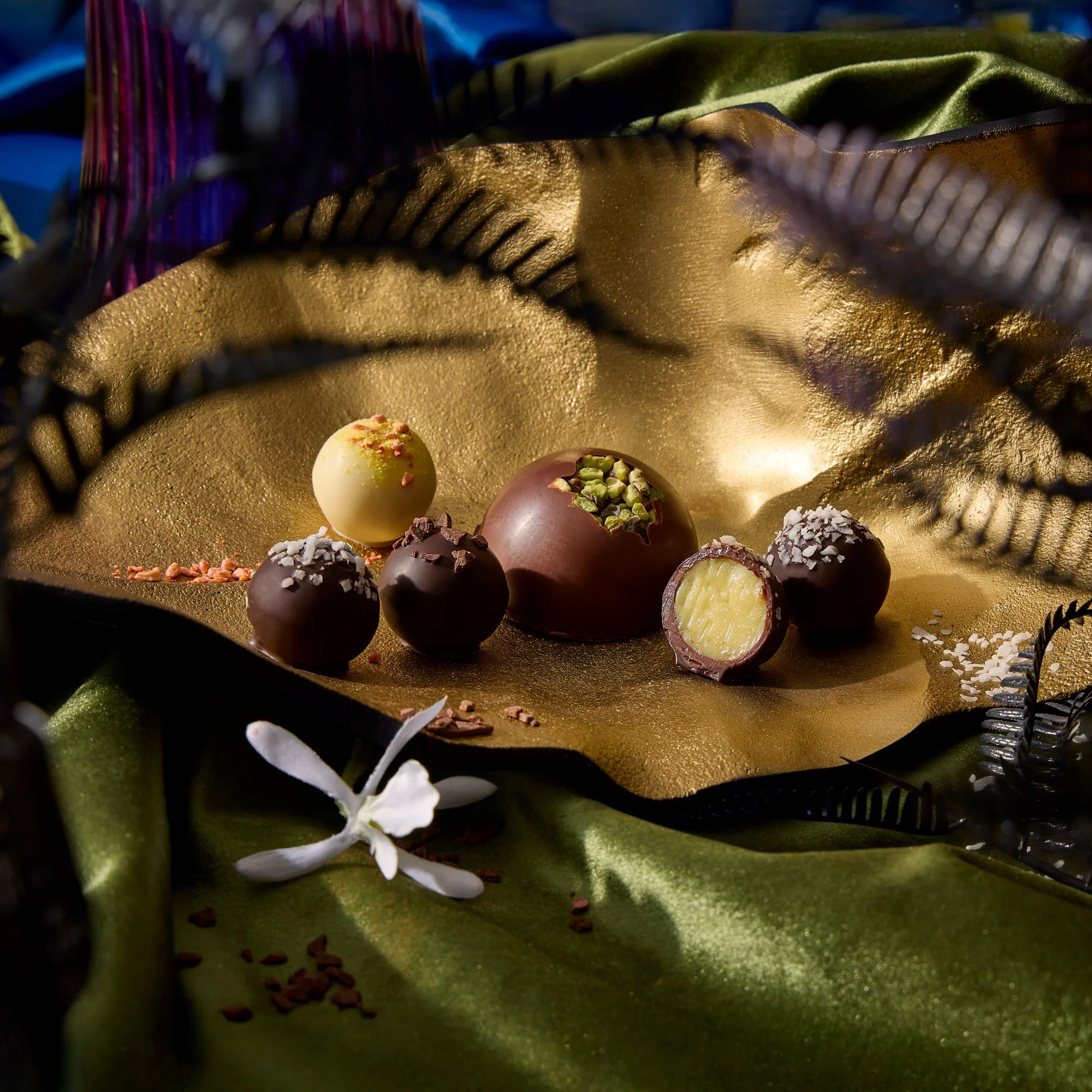 Wild Cacao Ensemble - Image 4