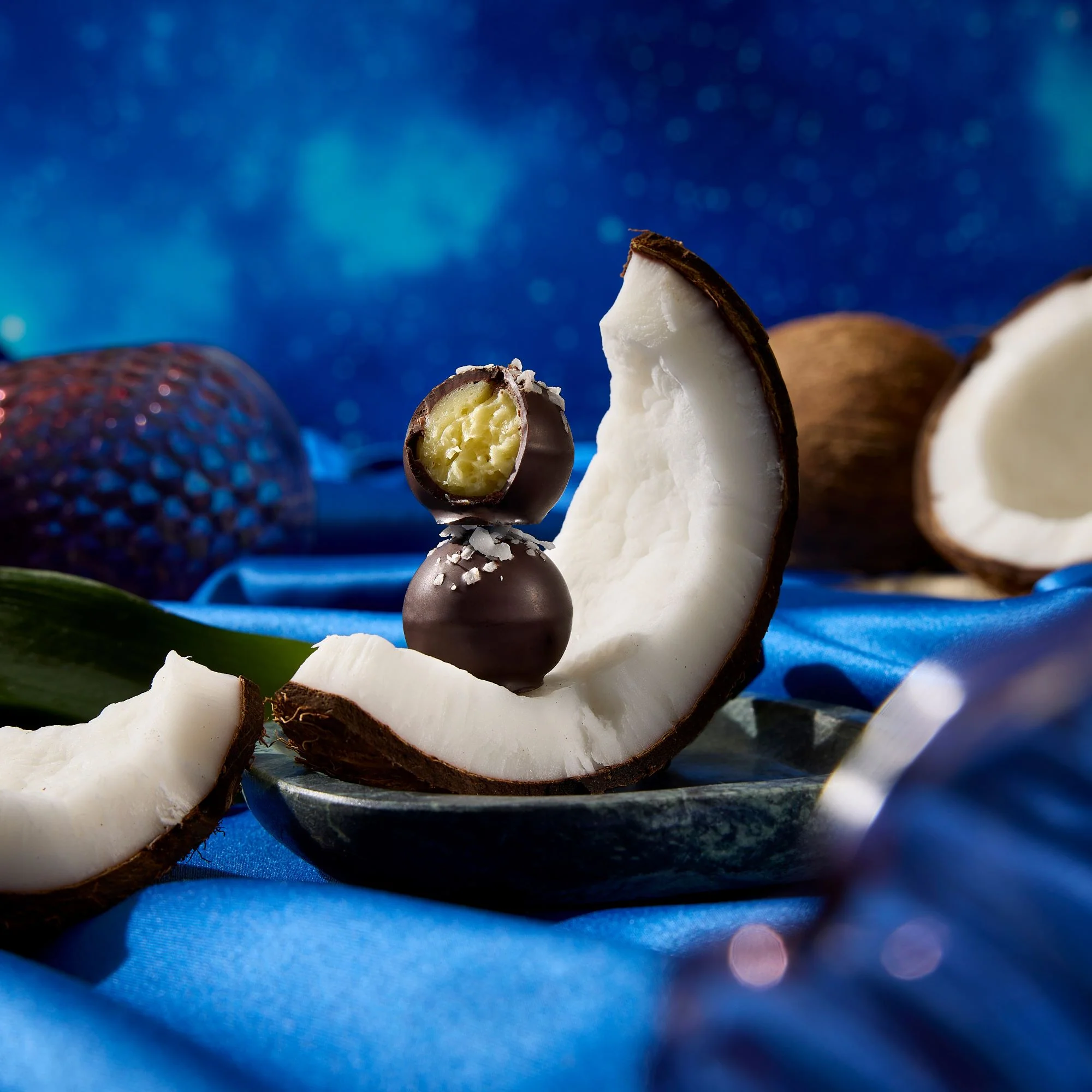 Wild Cacao Ensemble - Image 6